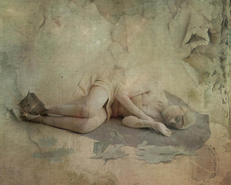 Awakening by Terry Fleckney Awakening by Terry Fleckney
