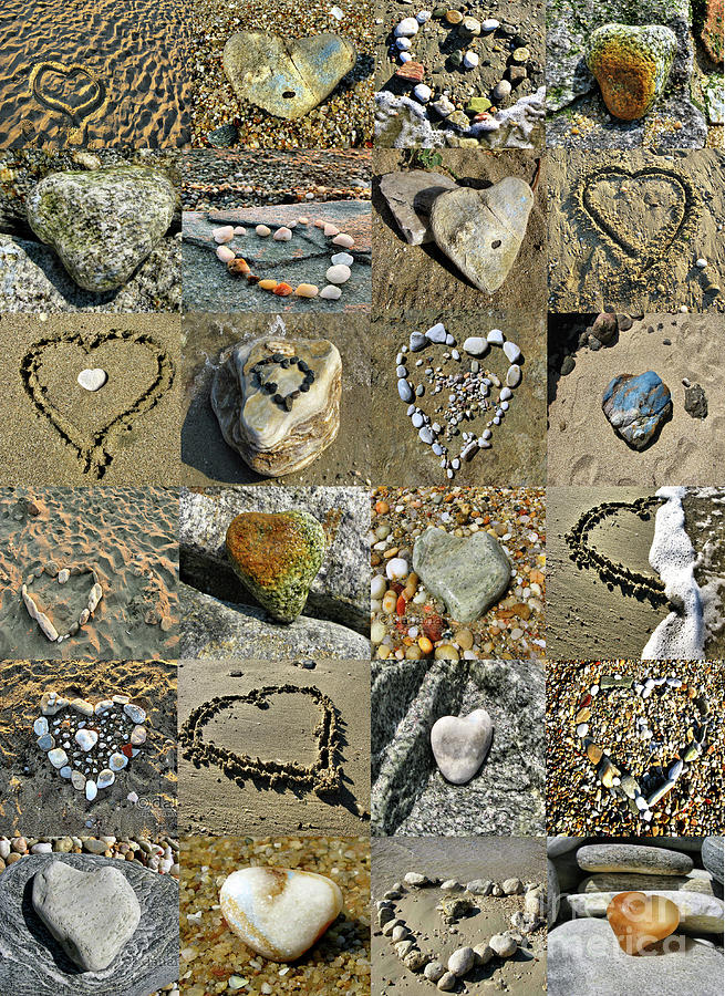 Awesome Hearts Found in Nature - Valentine s Day Photograph by Daliana Pacuraru