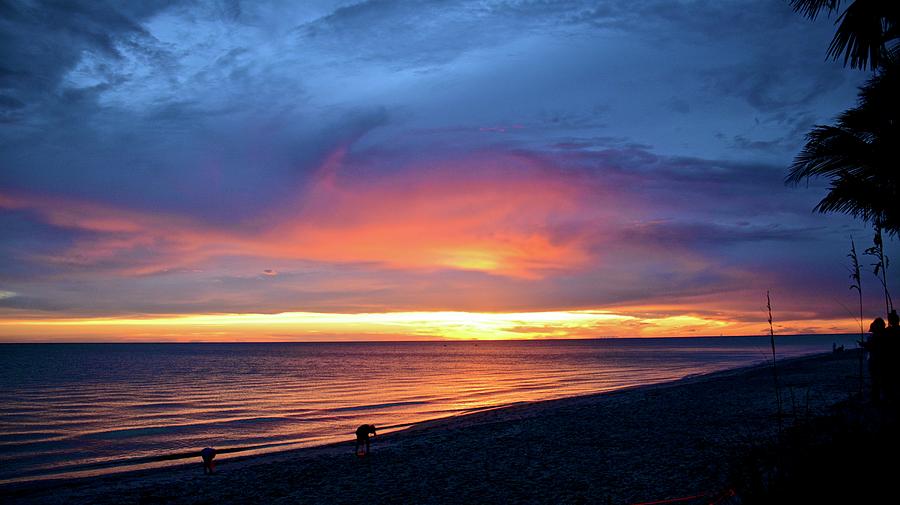 Awesome Sunset Photograph by Carol Bradley