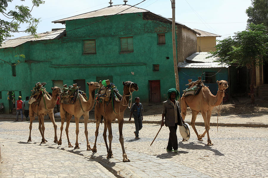 Axum, Ethiopia, East Africa Photograph by Aidan Moran