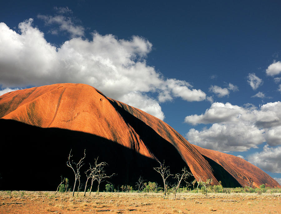 Ayers Rock Photograph by Buddy Mays