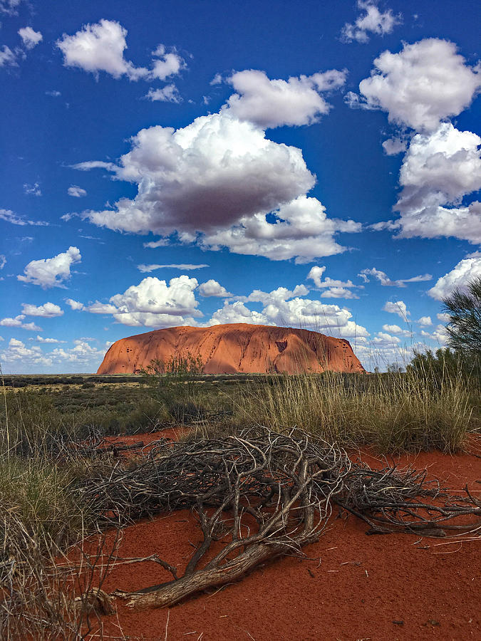 Ayers Rock Uluru Australian Outback Photograph by Lawrence S Richardson Jr