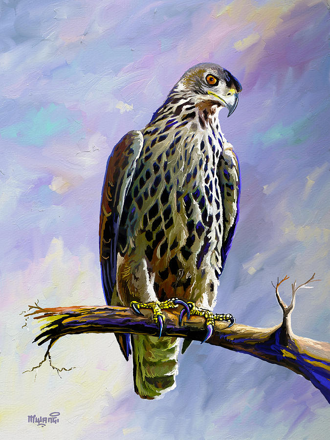 Ayress Hawk Eagle  Painting by Anthony Mwangi
