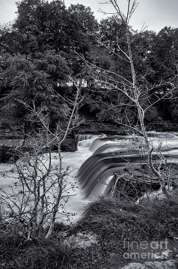 Aysgarth Falls  Photograph by Mariusz Talarek