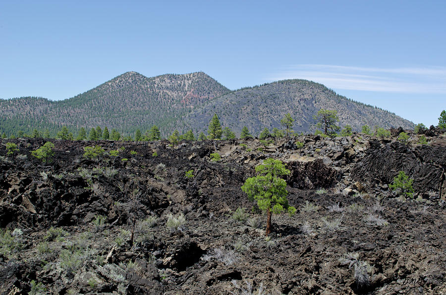 AZ Landscape from Lava Trail Photograph by David Gordon