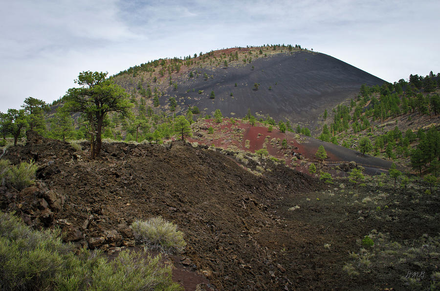 AZ Landscape from Lava Trail No. 3 Photograph by David Gordon