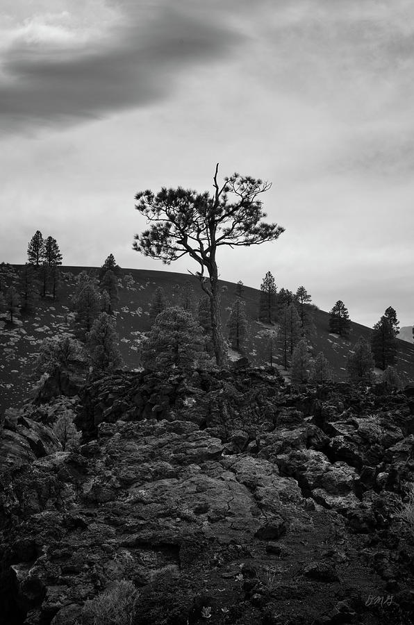 AZ Landscape from Lava Trail No. 4 Photograph by David Gordon