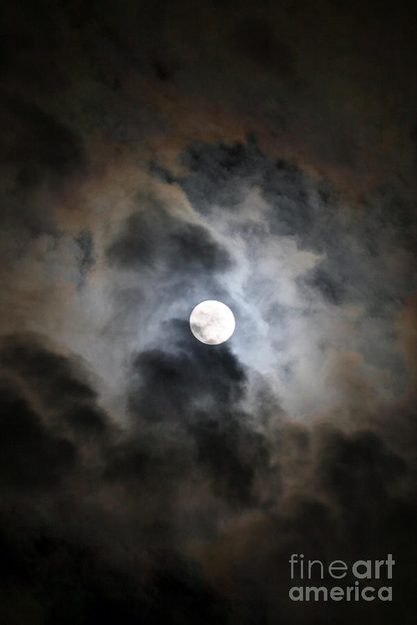 AZ Night Sky Photograph by Afrodita Ellerman
