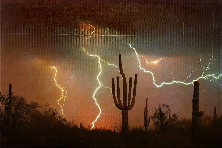 AZ Saguaro Lightning Storm Photograph by James BO Insogna