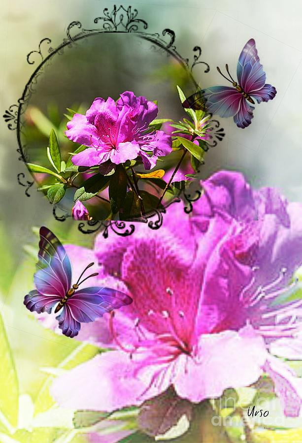 Azalea and Butterflies Photograph by Maria Urso