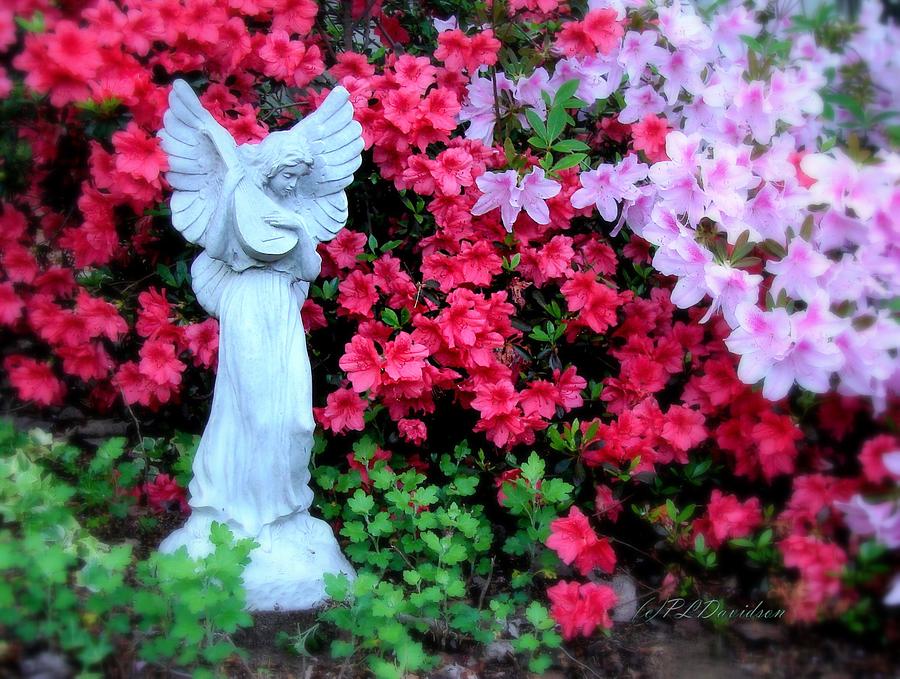 Azalea Garden Angel Photograph by Pat Davidson