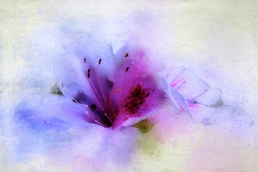 Spring Mixed Media - Azalea Splash 3 by Terry Davis