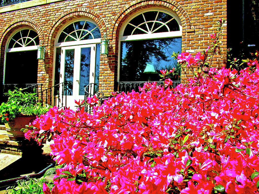 Azaleas by the Bellingrath Home, Bellingrath Gardens, Mobile, Alabama Photograph by Ruth Hager
