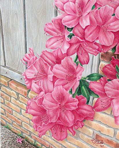 Azaleas Drawing by Carlos Esquivel Azaleas Drawing by Carlos Esquivel