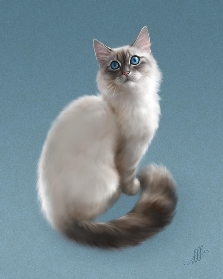 Cat Digital Art - Azure Eyes by Michelle Spalding