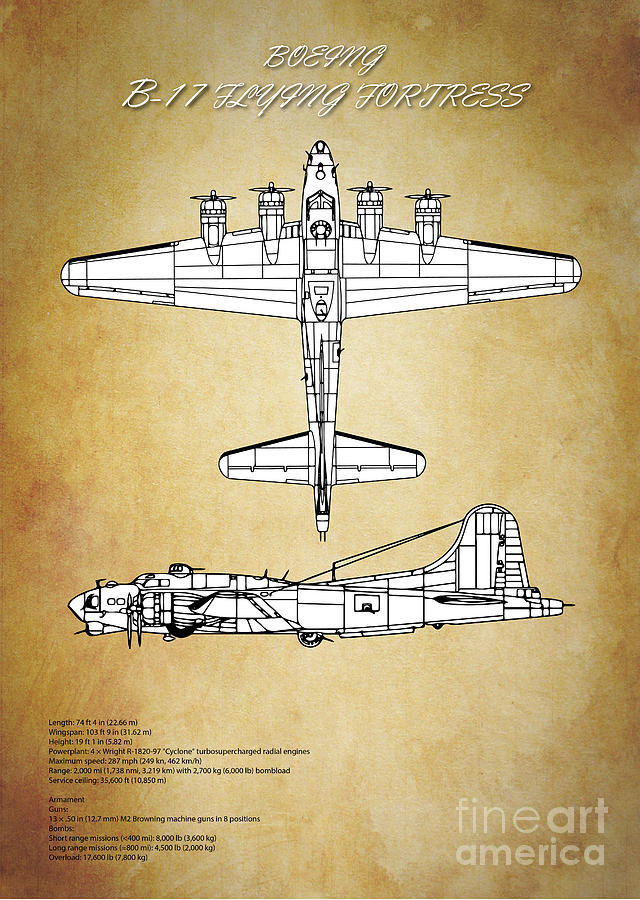 B 17 Flying Fortress By J Biggadike