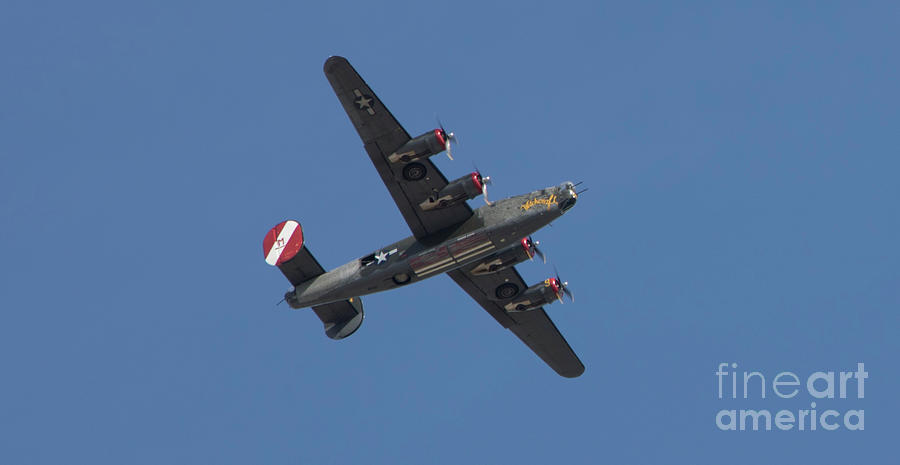 B-24J Liberator WWII Fighter Photograph by Chuck Kuhn