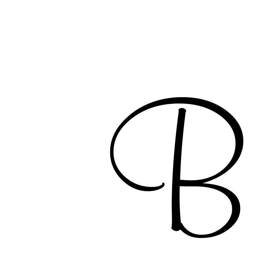 Letter B Fonts Script