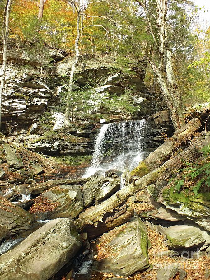 B Reynolds 7 Ricketts Glen Photograph By Cindy Treger