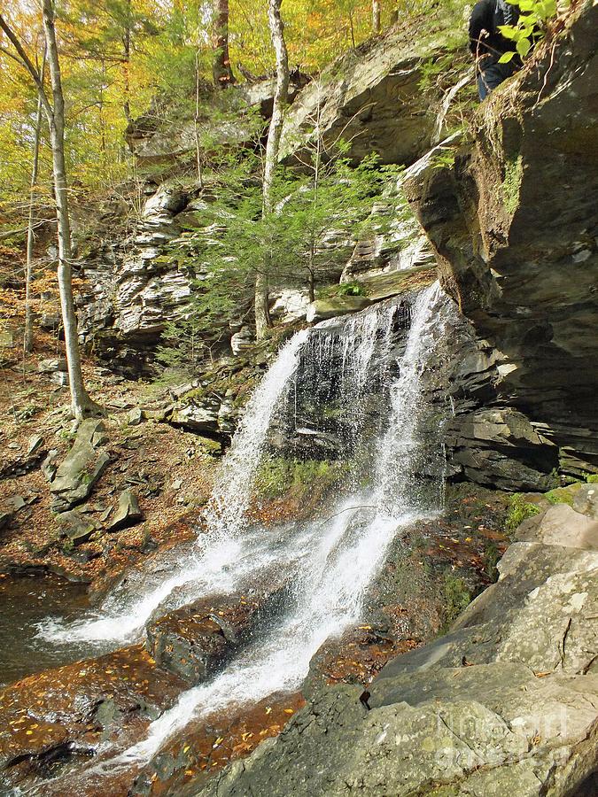 B Reynolds 9 Ricketts Glen Photograph By Cindy Treger