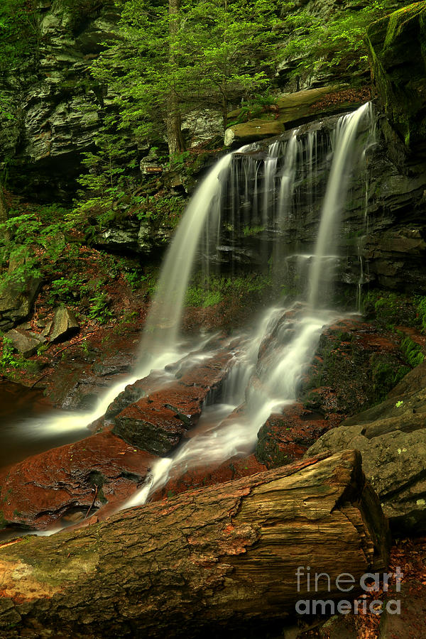 B Reynolds Waterfall Photograph by Adam Jewell