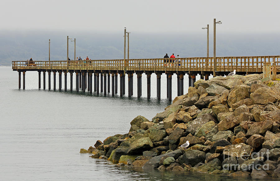 B Street Pier - Crescent City California Photograph By Randy Taylor ...