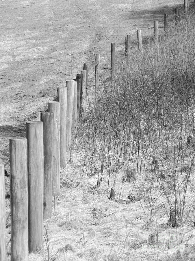 B/W Fence Post 2 Photograph by Erick Schmidt