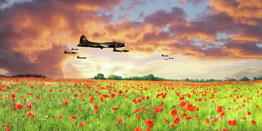 B17 Poppy Sunset Digital Art by Airpower Art