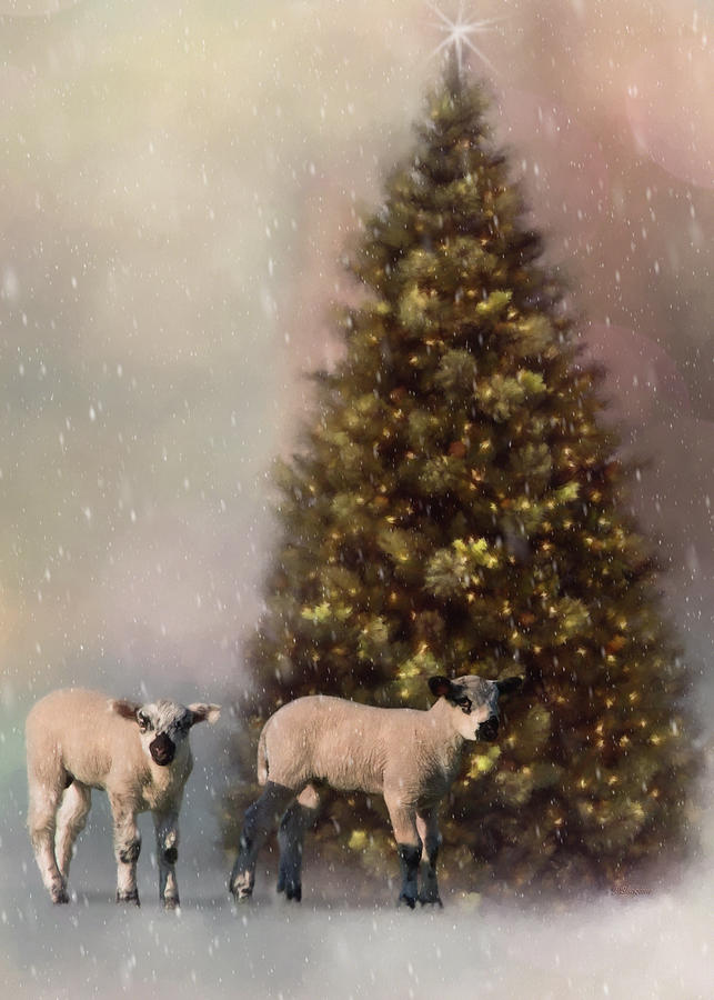 Christmas Painting - Baa Humbug - Seasonal Art by Jordan Blackstone