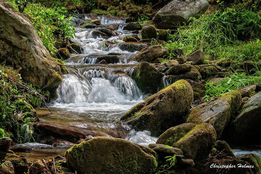 Nature Photograph - Babbling Brook by Christopher Holmes