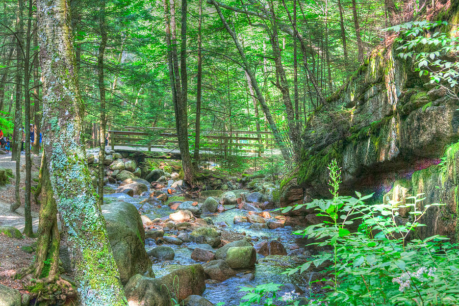 New Hampshire Brook Photograph by John A Megaw
