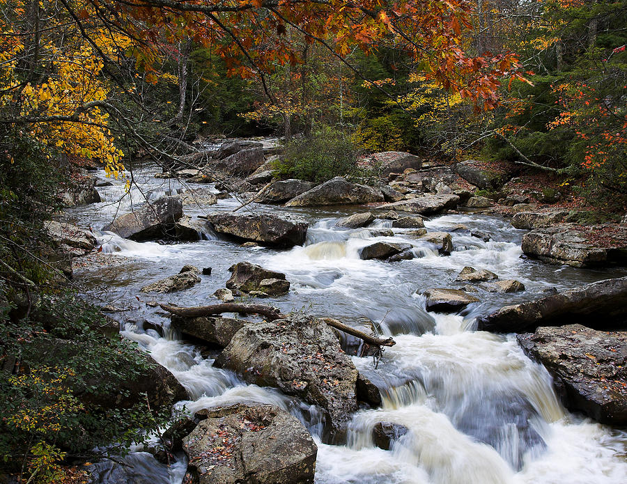 Babbling Brook Photograph by John Mueller