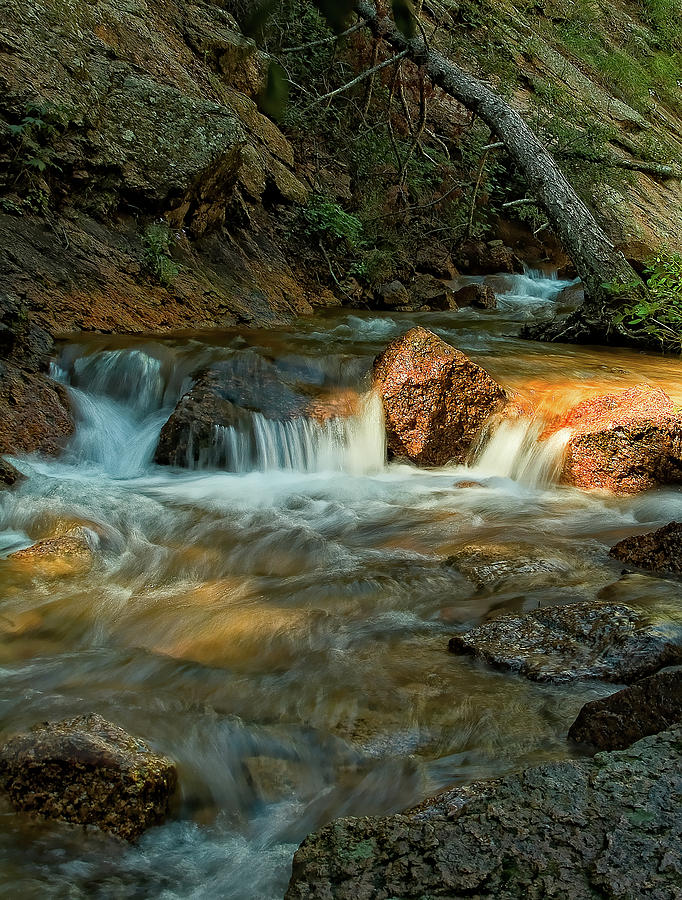 Babbling Brook Photograph by Tim Reaves