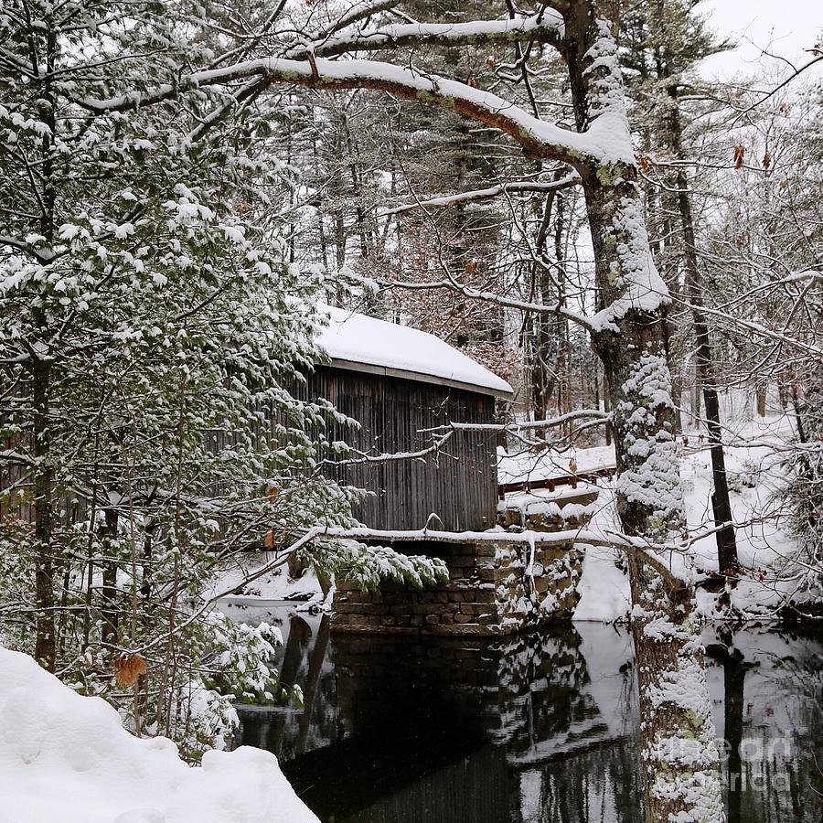 Babbs covered bridge Photograph by Colleen Mars - Pixels