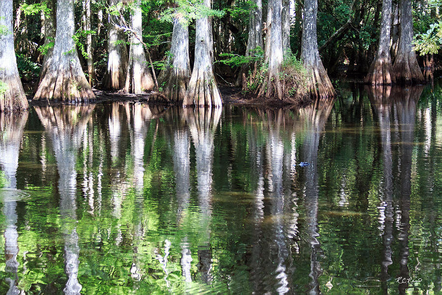Babcock Wilderness Ranch - Alligator Lake Reflections Photograph by Ronald Reid