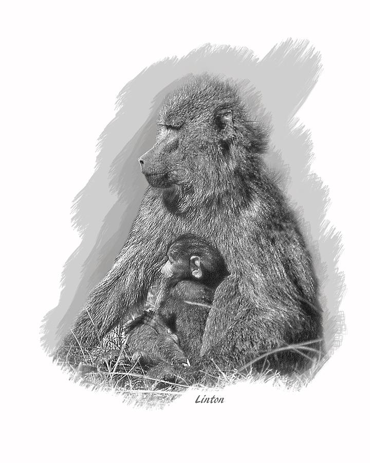 Baboon Mother And Young Digital Art by Larry Linton