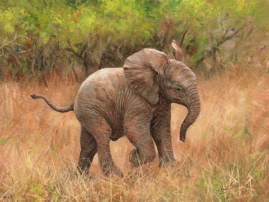 Baby African Elelphant Painting by David Stribbling