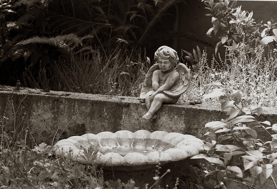 Fountain Photograph - Baby Angel Ponders  by Lorraine Devon Wilke