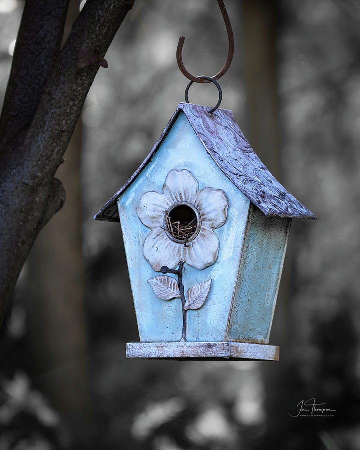 Baby Blue Birdhouse Photograph by Jim Thompson