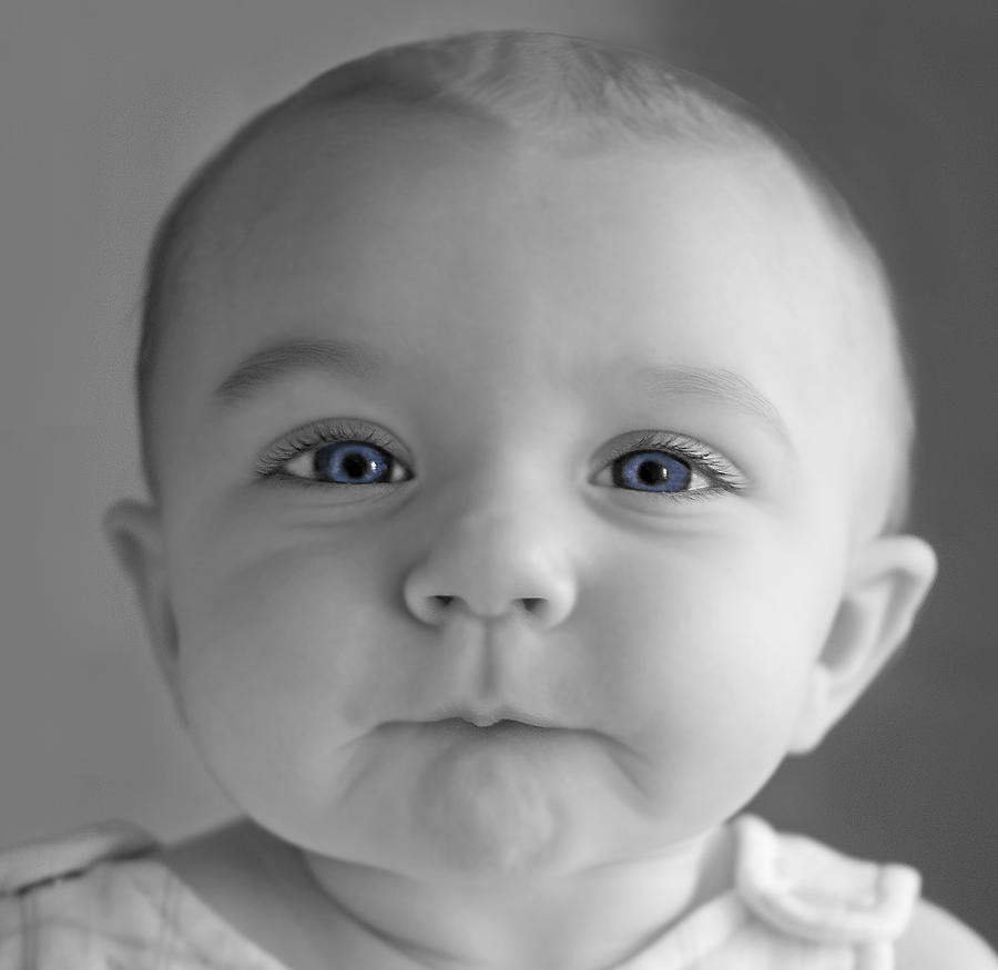 Baby Blue Eyes Photograph by Ginger Wakem