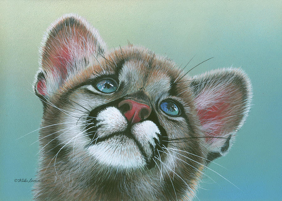 Cougar Painting - Baby Blues by Mike Brown