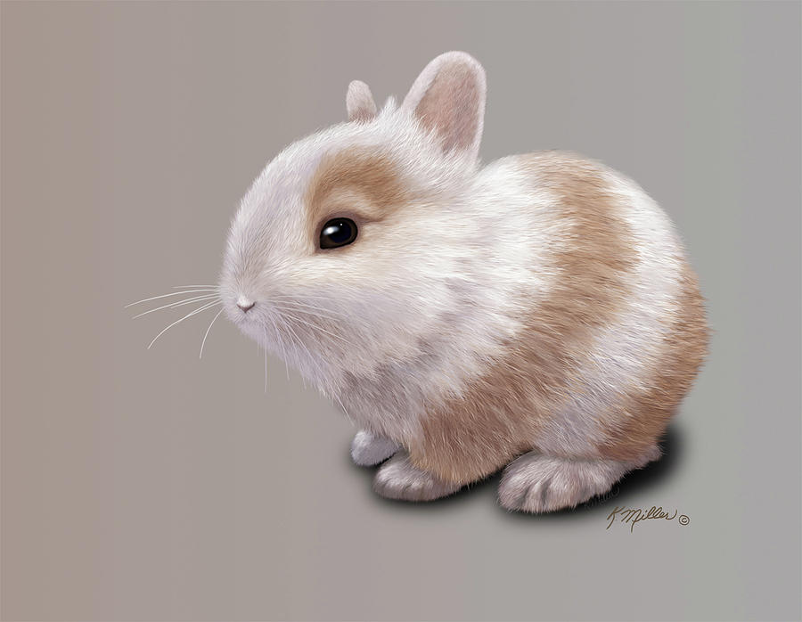 Baby Bunny Painting by Kathie Miller