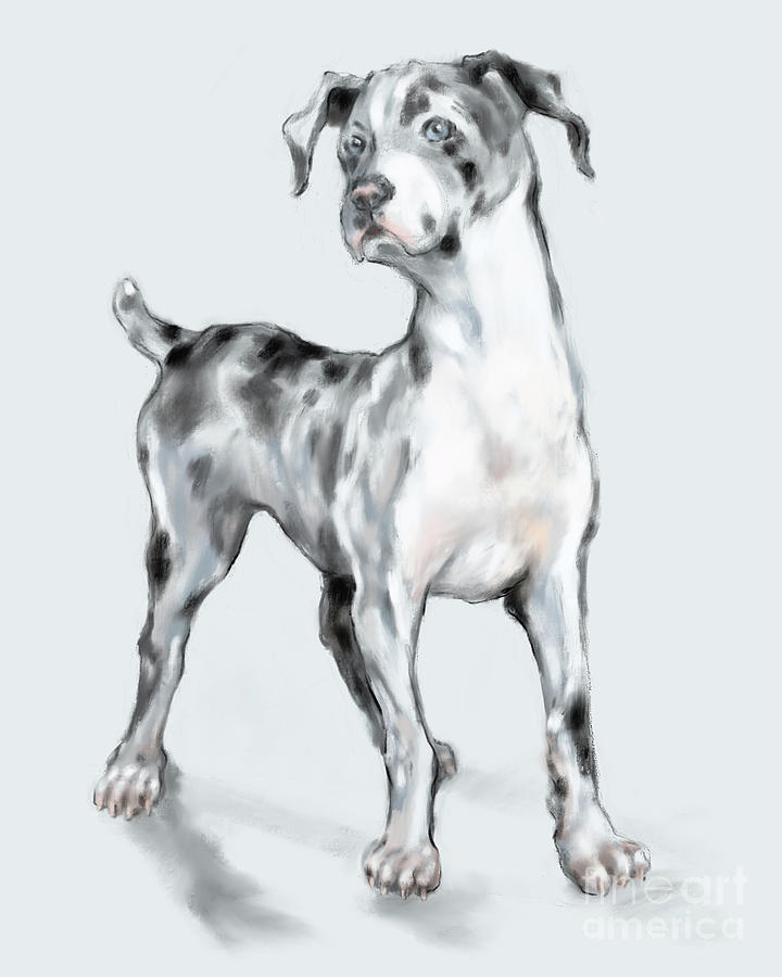 Great Dane Digital Art - Baby Dane by Lora Serra Great Dane Digital Art - Baby Dane by Lora Serra