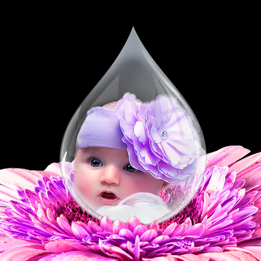 Baby DewDrop Photograph by Trudy Wilkerson