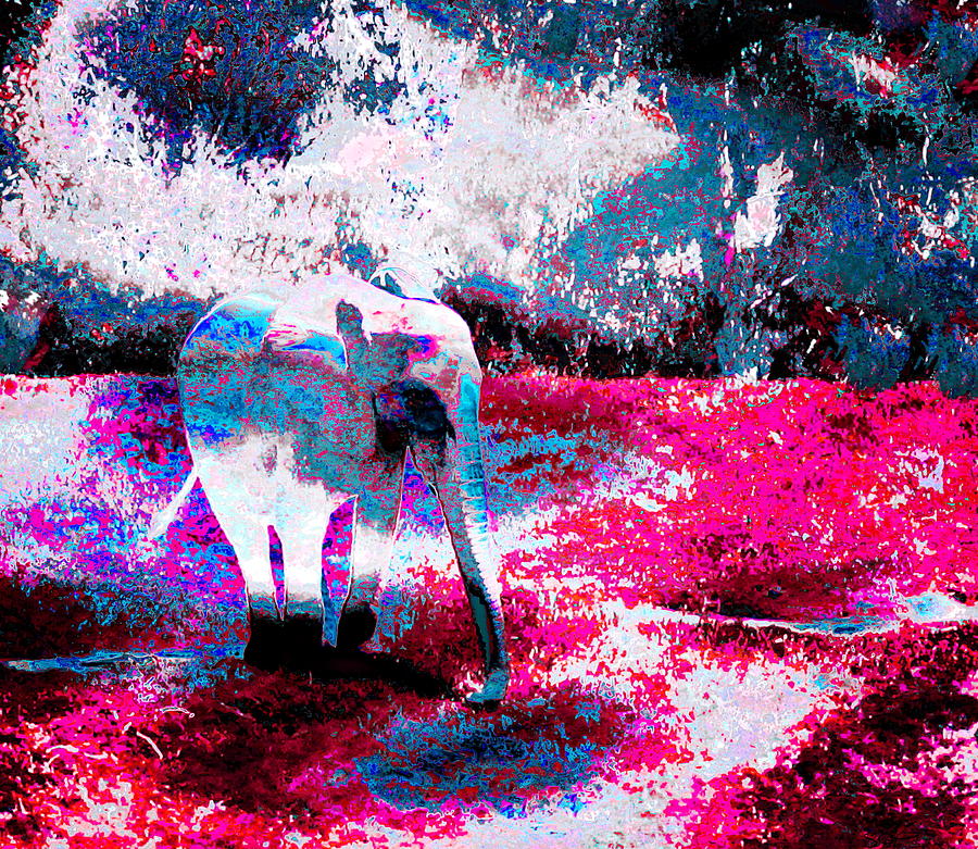 Abstract Photograph - Baby Elephant in Blue and Magenta by Abstract Angel Artist Stephen K