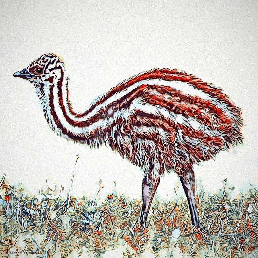 Baby Emu Digital Art by Pennie McCracken