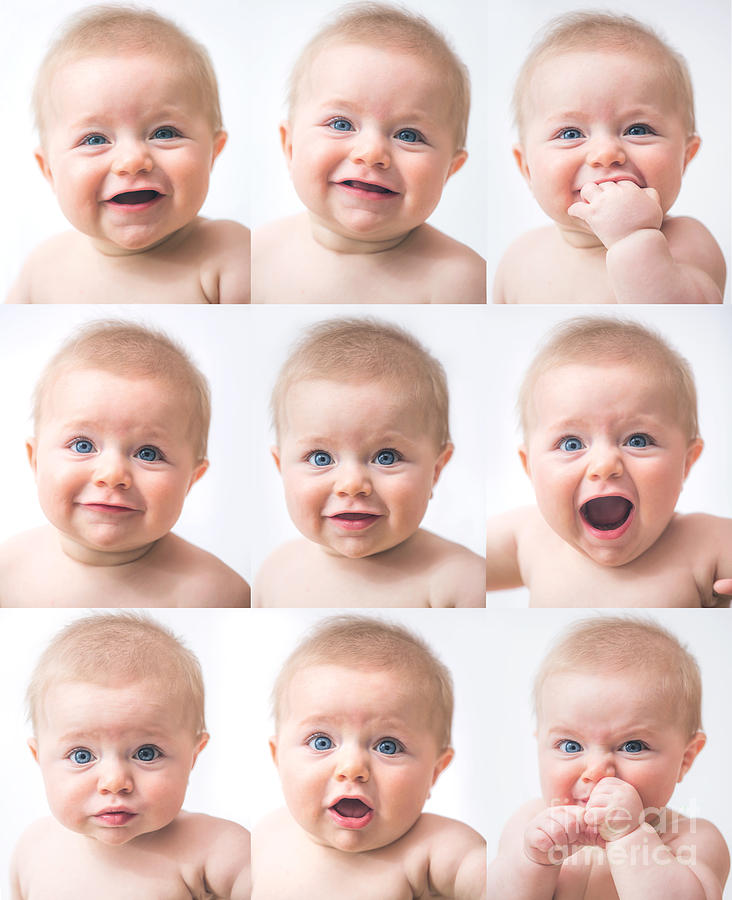 Baby Photograph - Baby Faces by Diane Diederich