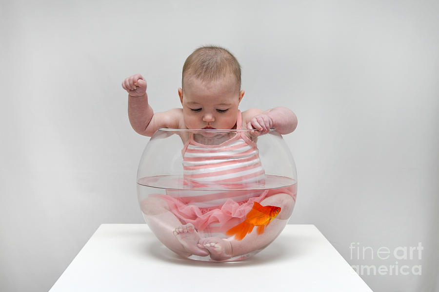 Baby Fishing Photograph by Baywest Imaging