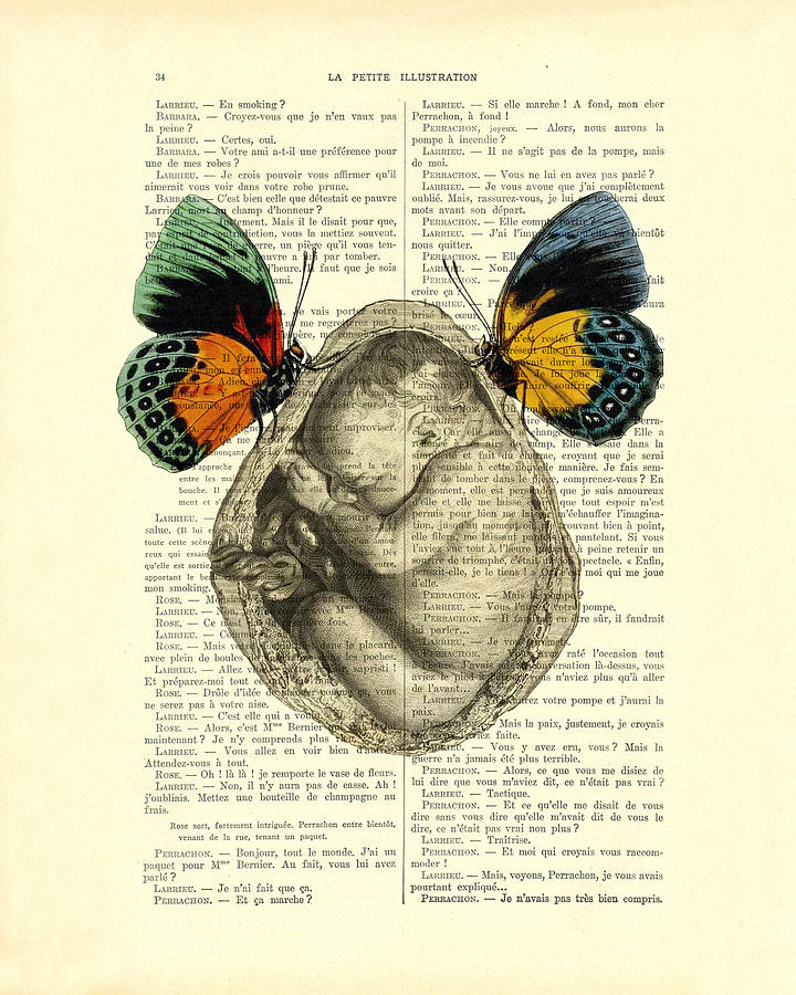 Butterfly Digital Art - Baby foetus and butterflies by Madame Memento