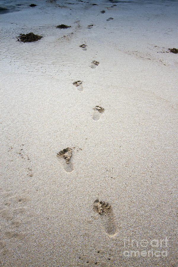 Baby Footprints In The Sand Photograph by Dustin K Ryan